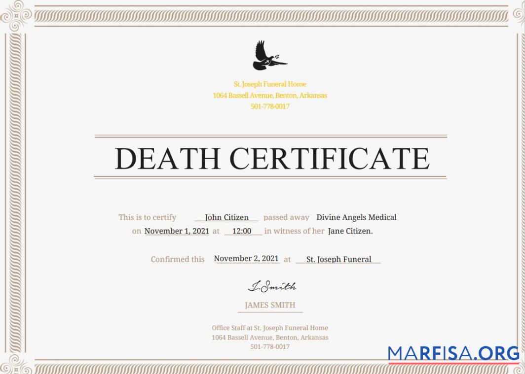 Realistic USA Certificate of Death sample